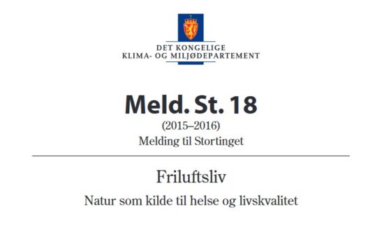 meld-18